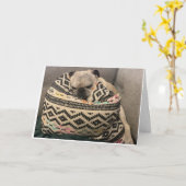 Pug Birthday Card - Happy Place Kaart (Gele Bloem)