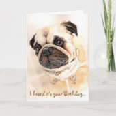Pug Birthday Kaart (Voorkant)