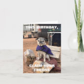 Pug Birthday Kaart | Lily the Pug | sarcastisch (Voorkant)