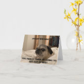Pug Birthday Kaart, sarcastische kaart (Gele Bloem)