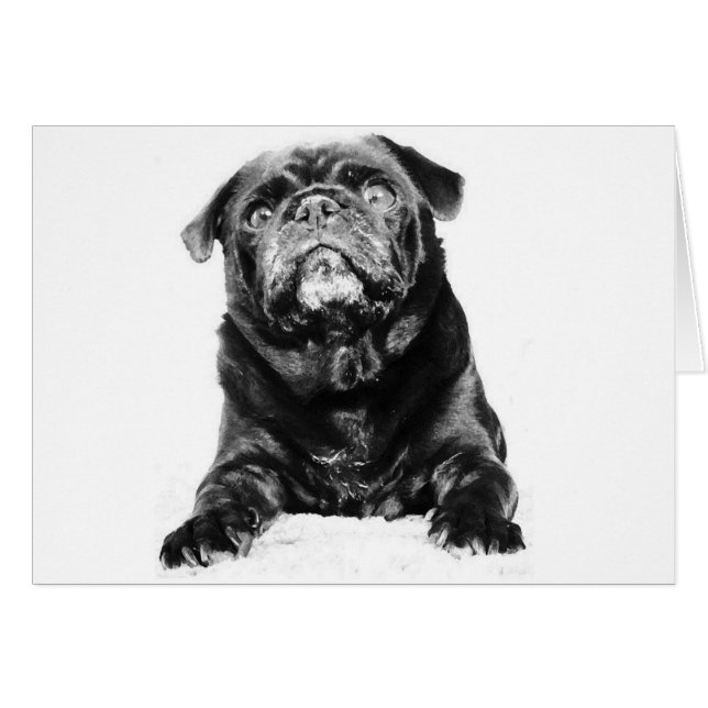 Pug - Black PUG Black & White (Voorkant Horizontaal)