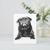 Pug - Black PUG Black & White Briefkaart (Staand voorkant)