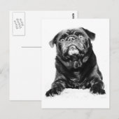 Pug - Black PUG Black & White Briefkaart (Voorkant / Achterkant)