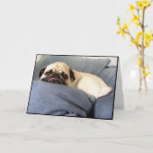 Pug Blauw (Wenskaart) Kaart (Gele Bloem)