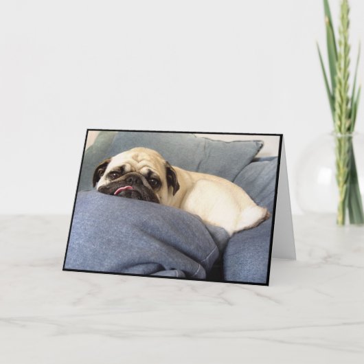 Pug Blauw (Wenskaart) Kaart (Voorkant)