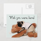 Pug Blues Briefkaart (Voorkant / Achterkant)