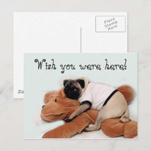 Pug Blues Briefkaart (Voorkant / Achterkant)