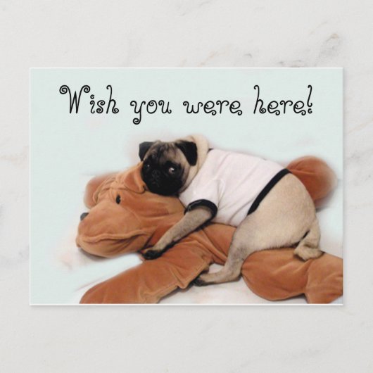 Pug Blues Briefkaart (Voorkant)