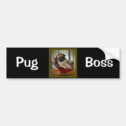 Pug Boss Bumpersticker (Voorkant)