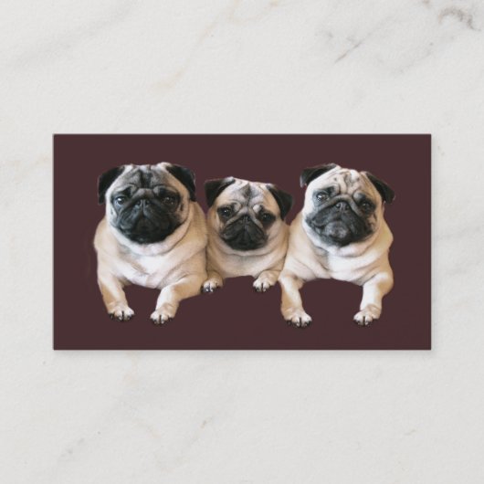 Pug Breeder Visitekaartje (Voorkant)