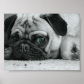 Pug "Breena" Poster (Voorkant)