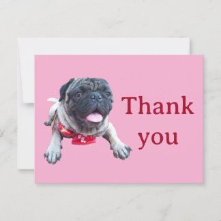 pug briefkaart