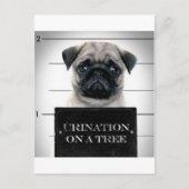 Pug Briefkaart (Voorkant)