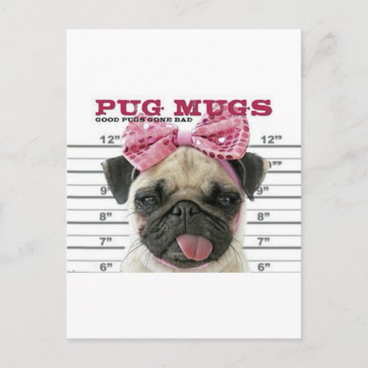 Pug Briefkaart (Voorkant)