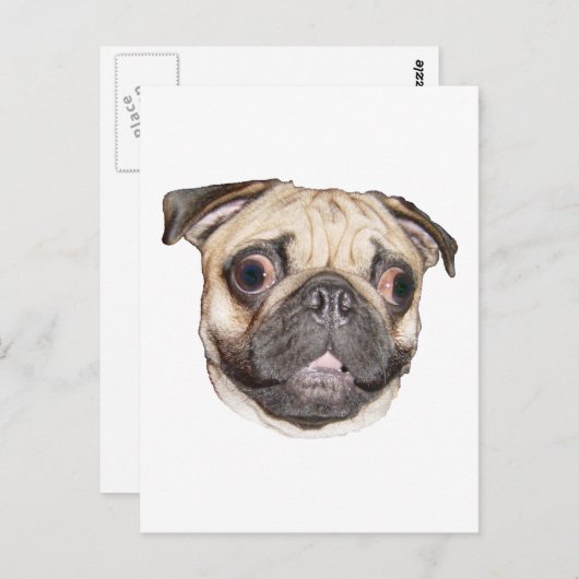 Pug Briefkaart (Voorkant / Achterkant)