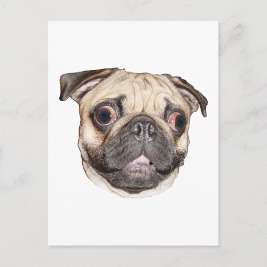Pug Briefkaart (Voorkant)