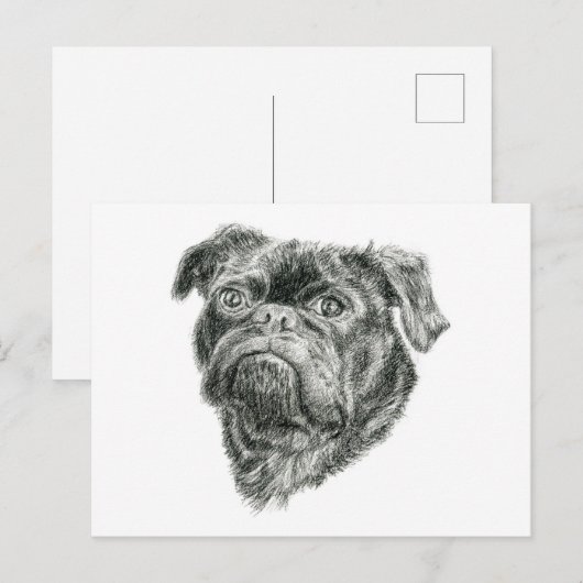 Pug Briefkaart (Voorkant / Achterkant)