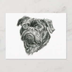 Pug Briefkaart