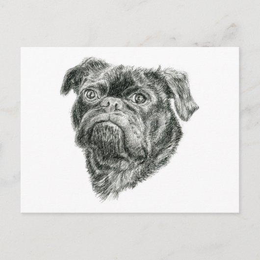 Pug Briefkaart (Voorkant)