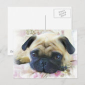 Pug Briefkaart (Voorkant / Achterkant)
