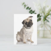 Pug Briefkaart (Staand voorkant)