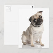 Pug Briefkaart (Voorkant / Achterkant)