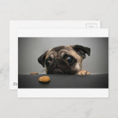 Pug Briefkaart (Voorkant / Achterkant)