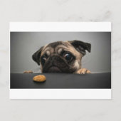 Pug Briefkaart (Voorkant)
