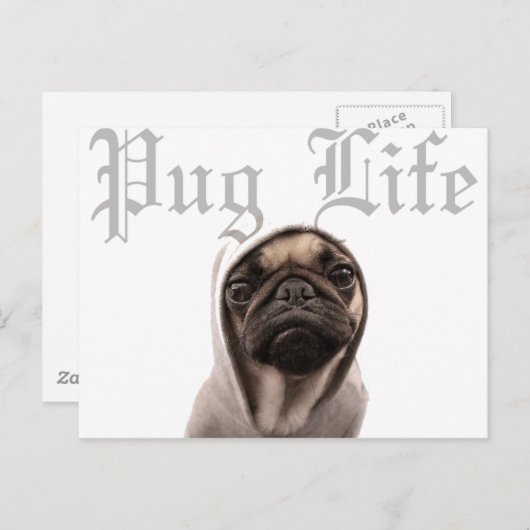 Pug Briefkaart (Voorkant / Achterkant)