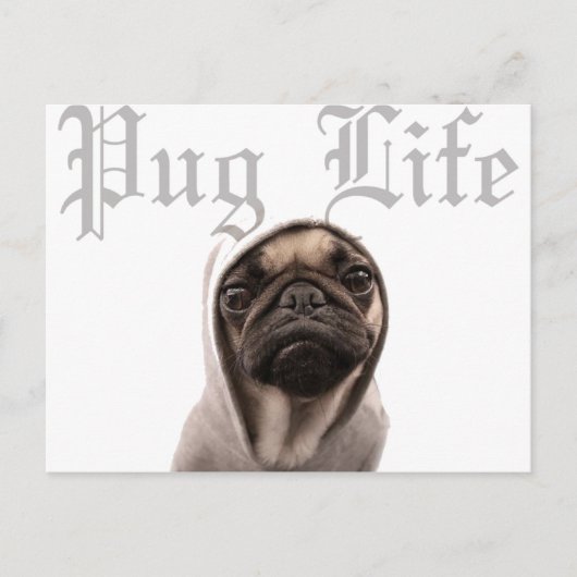 Pug Briefkaart (Voorkant)