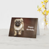 Pug Brown Dog Foto Birthday Kaart (Gele Bloem)