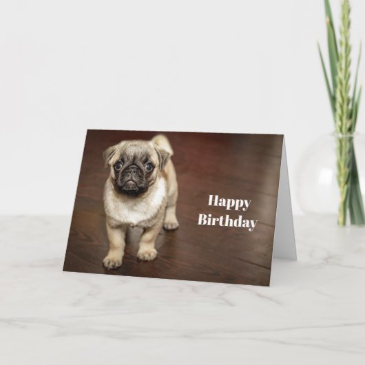 Pug Brown Dog Foto Birthday Kaart (Voorkant)