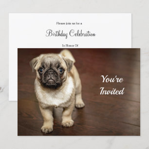 Pug Brown Dog Foto Birthday Kaart