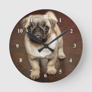 Pug Brown Dog Foto Ronde Klok