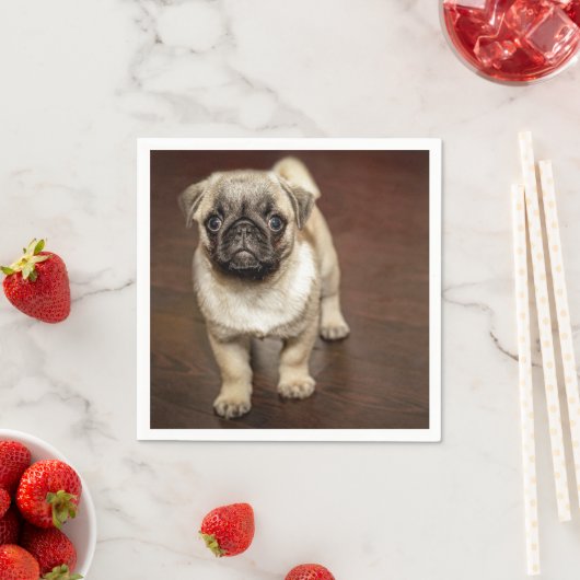 Pug Brown Dog Foto Servet (Insitu)