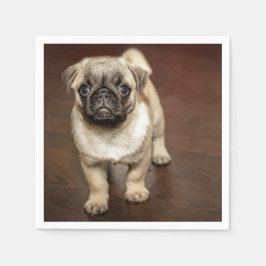 Pug Brown Dog Foto Servet