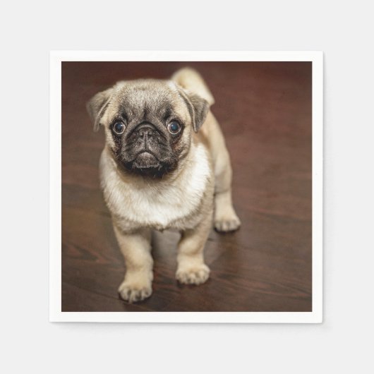 Pug Brown Dog Foto Servet (Voorkant)