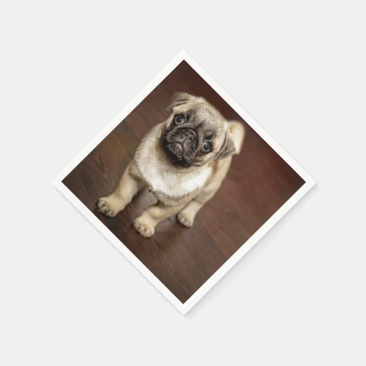 Pug Brown Dog Foto Servet (Hoek)