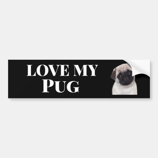 Pug-bumsticker Bumpersticker (Voorkant)