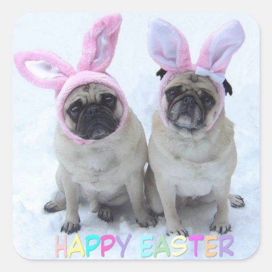 Pug bunny's vierkante sticker (Voorkant)