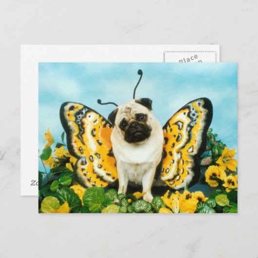 Pug Butterfly Briefkaart (Voorkant / Achterkant)