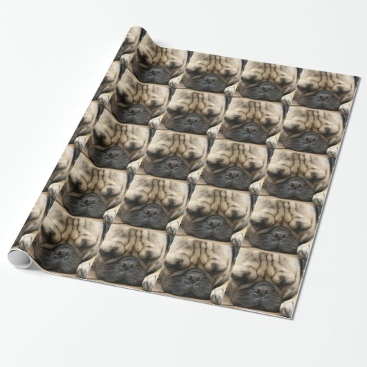 Pug Cadeaupapier (Uitgerold)