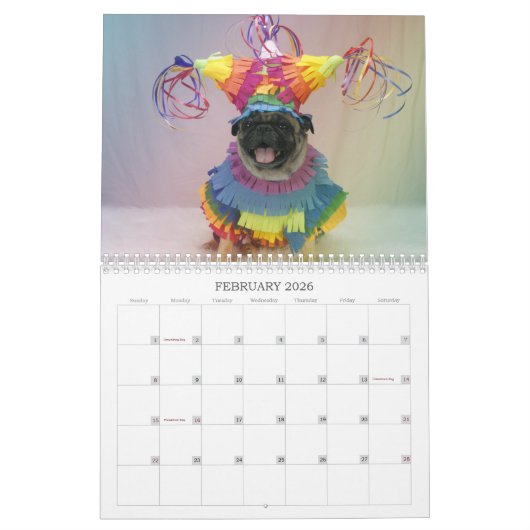 Pug Calendar 2019 Kalender (Feb 2026)