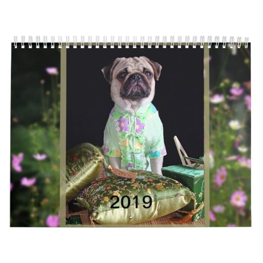 Pug Calendar 2019 Kalender (Hoes)