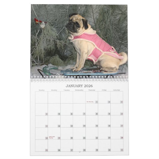 Pug Calendar 2019 Kalender (Jan 2026)