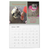 Pug Calendar Kalender (Jan 2027)