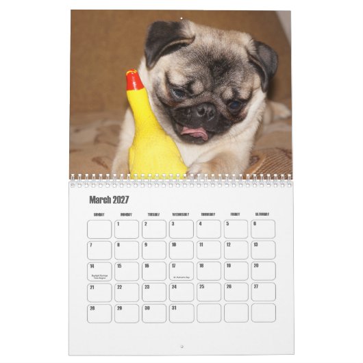 Pug Calendar Kalender (Mar 2027)