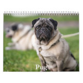Pug Calendar Kalender (Hoes)