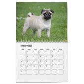Pug Calendar Kalender (Feb 2027)