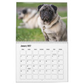 Pug Calendar Kalender (Jan 2027)